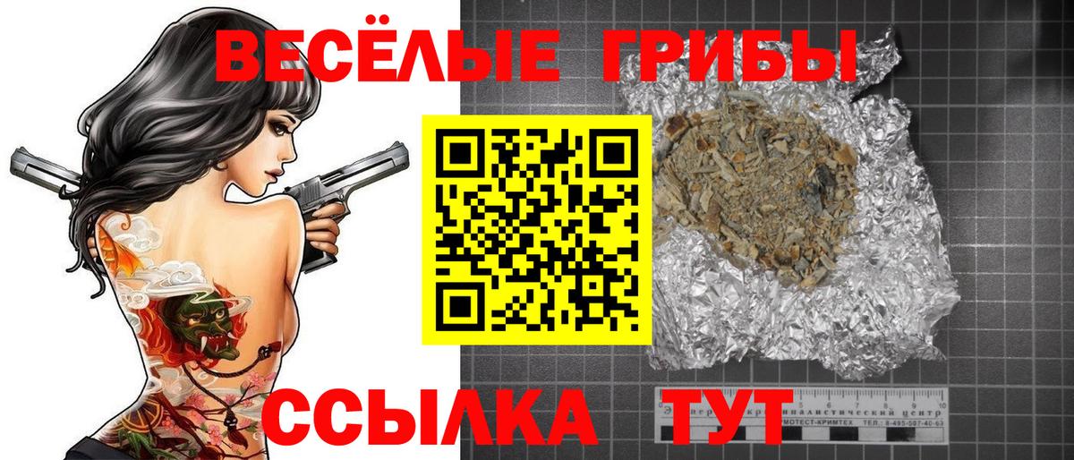 Курчатов  цены наркотик  Вход с VPN  Псилоцибиновые грибы Cubensis 